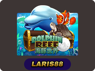 Dolphin Reef