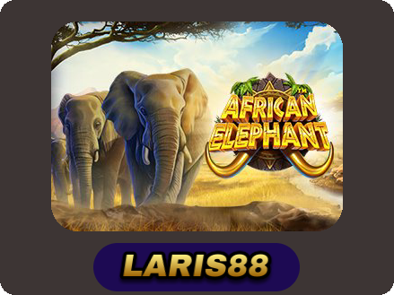 African Elephant